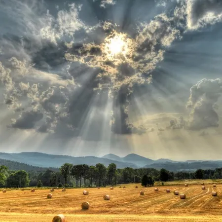 イン Browar Miedzianka *