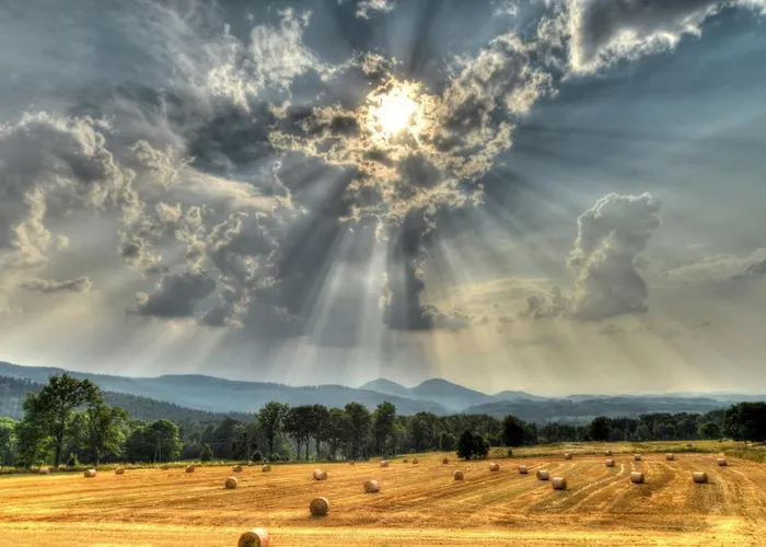 宾馆 Browar Miedzianka *